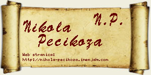 Nikola Pecikoza vizit kartica